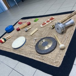 Musico pro
